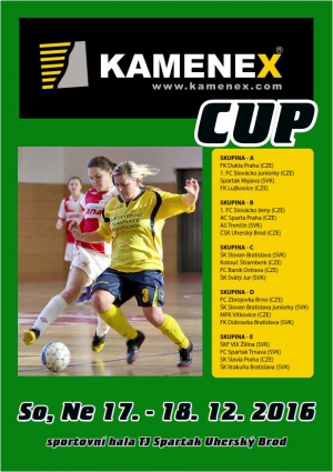 KAMENEX CUP 2016 