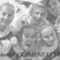KAMENEX CUP 2016