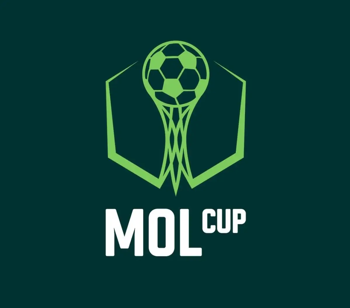 V MOL cup nás čeká soupeř ze 4. ligy - Sokol Tasovice
