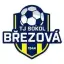 TJ Sokol Březová